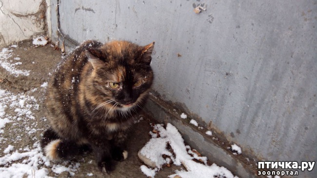 ���� 4: ��������� �����