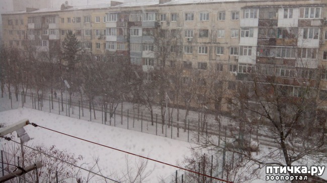 ���� 5: ��������� �����