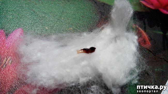 ���� 2: � � ������ ����!!!