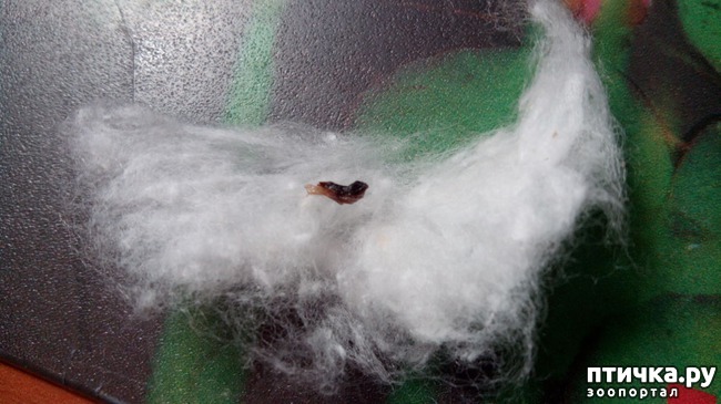 ���� 3: � � ������ ����!!!