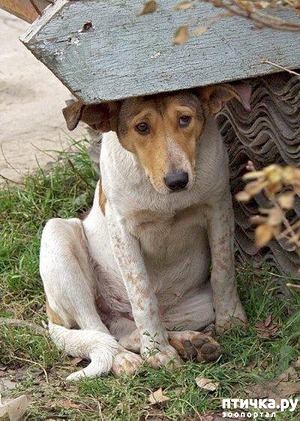 ����: �� ����� ��������� �����.