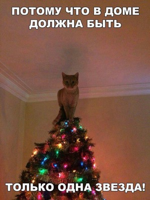 ����: ������ ��������� �����������!