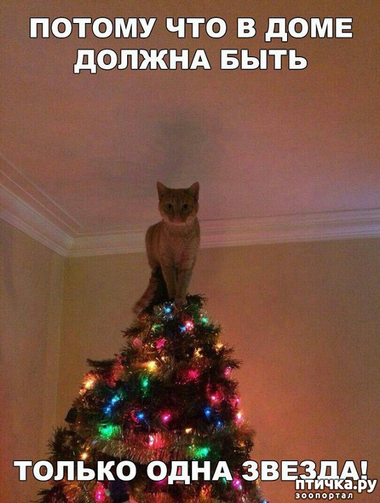 ���� 1: ������ ��������� �����������!