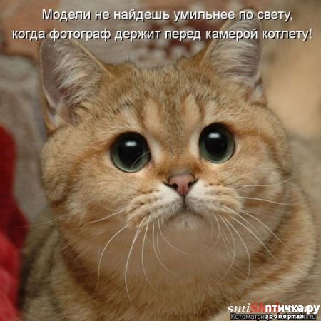 ���� 2: ������ ��������� �����������!