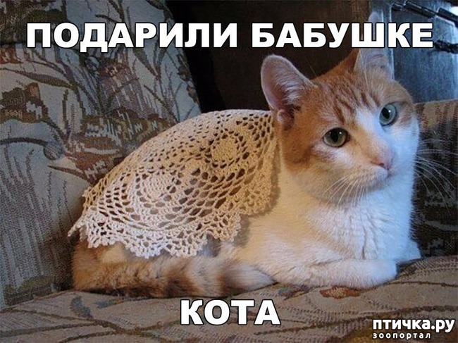 ���� 3: ������ ��������� �����������!