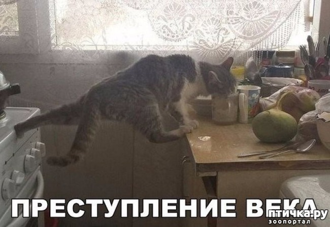 ���� 5: ������ ��������� �����������!