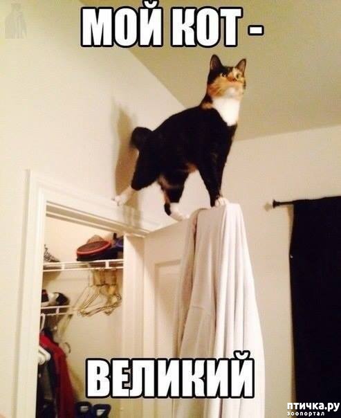 ���� 6: ������ ��������� �����������!