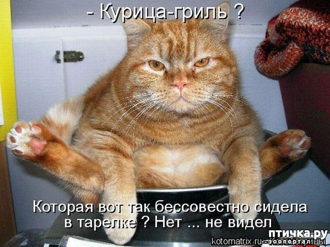 ���� 7: ������ ��������� �����������!