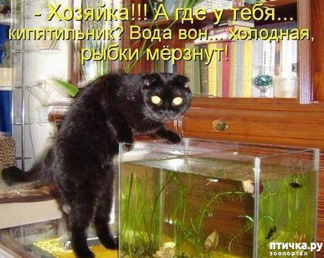 ���� 8: ������ ��������� �����������!