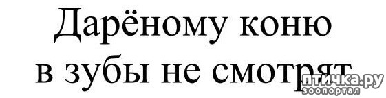 ���� 1: � �������, ��� ������� ���� � ���� �� �������...