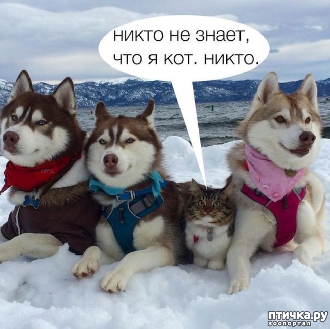 ���� 9: ������ ��������� �����������!