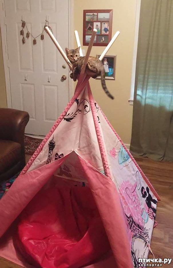 ���� 2: � �������, ��� ������� ���� � ���� �� �������...