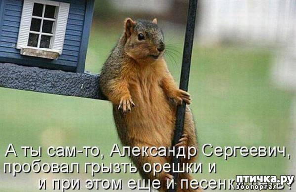 ���� 10: ������ ��������� �����������!