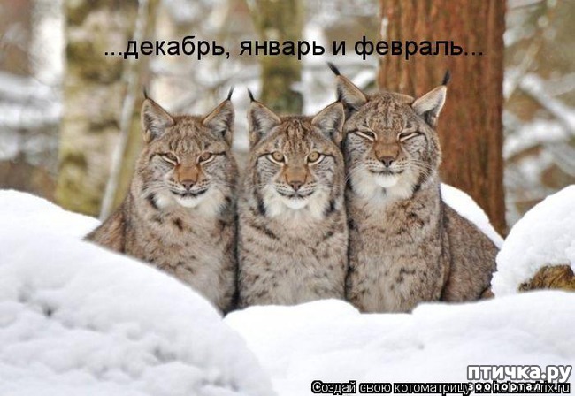 ���� 11: ������ ��������� �����������!