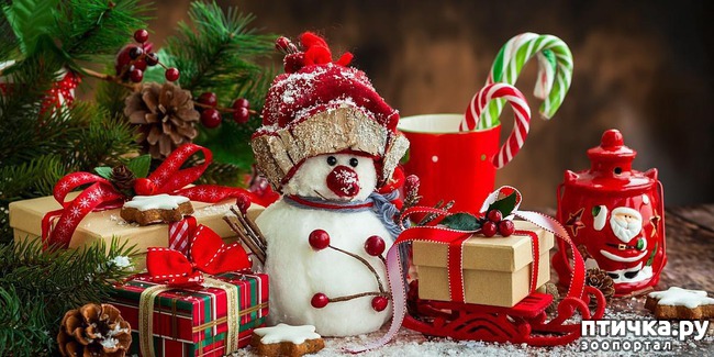 ���� 12: ������ ��������� �����������!