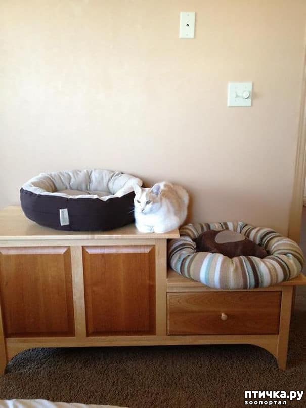 ���� 5: � �������, ��� ������� ���� � ���� �� �������...