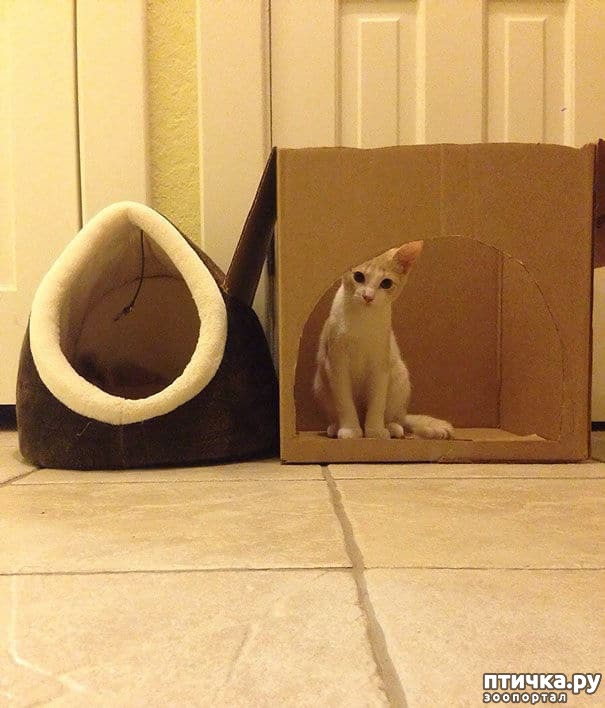 ���� 6: � �������, ��� ������� ���� � ���� �� �������...