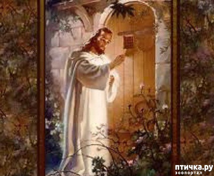 ���� 1: ���� ��������