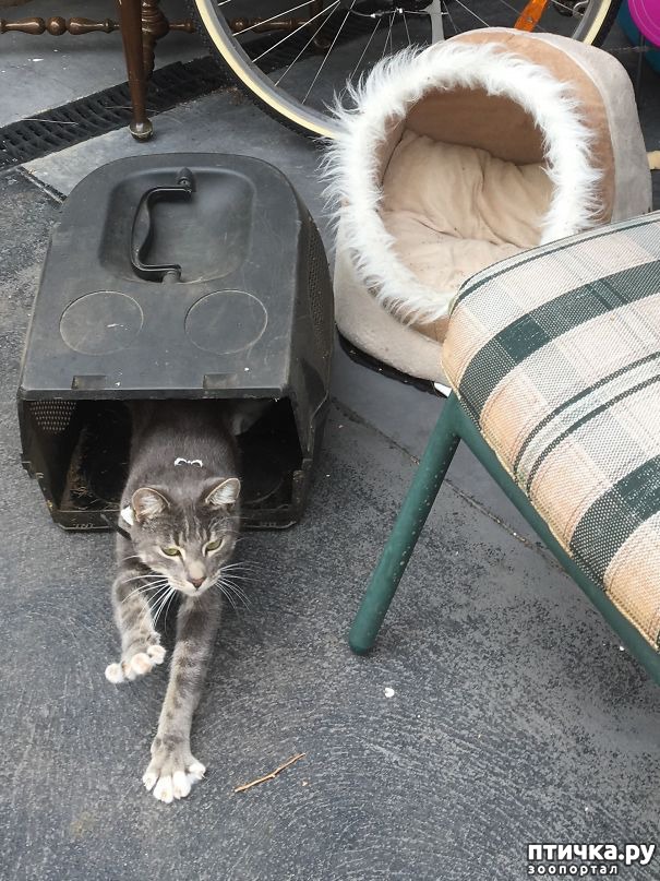 ���� 8: � �������, ��� ������� ���� � ���� �� �������...