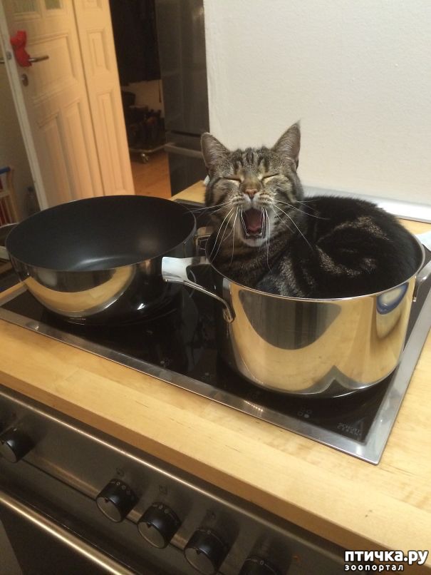 ���� 9: � �������, ��� ������� ���� � ���� �� �������...