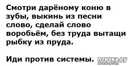 ���� 10: � �������, ��� ������� ���� � ���� �� �������...