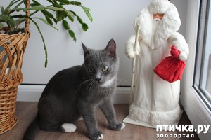 ����: � � ������ ����!!!