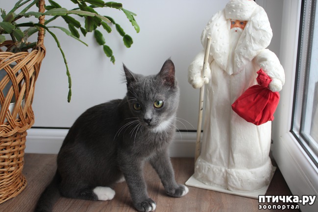 ���� 1: � � ������ ����!!!