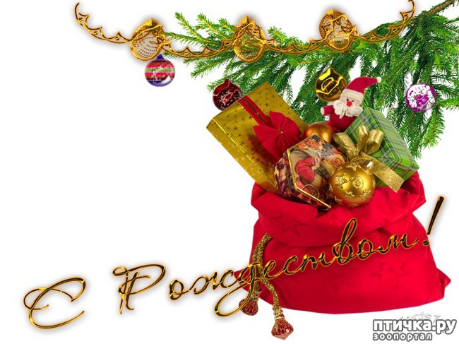 ���� 2: � �������������� ���������� ���������!