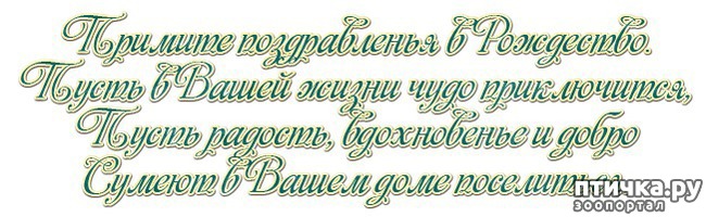 ���� 5: � �������������� ���������� ���������!