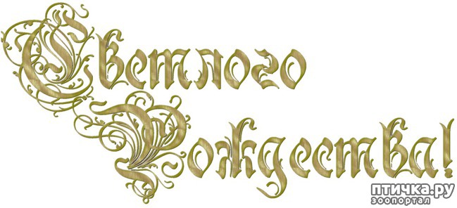 ���� 8: � �������������� ���������� ���������!