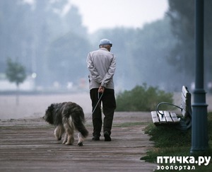 ����: ����-�������� �����-�� ������� �����...