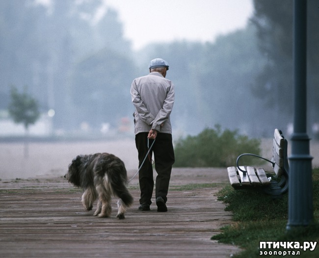 ���� 1: ����-�������� �����-�� ������� �����...