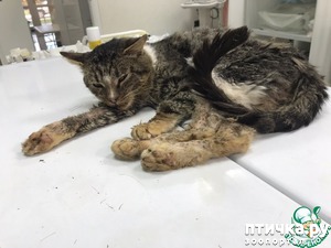 ����: ������� ������� ��� ������ ���!!!