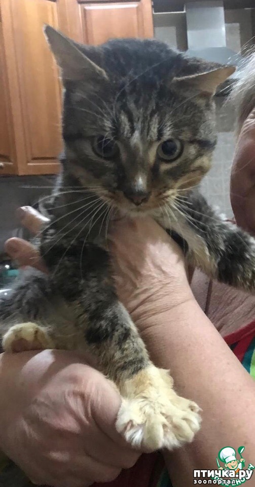 ���� 3: ������� ������� ��� ������ ���!!!