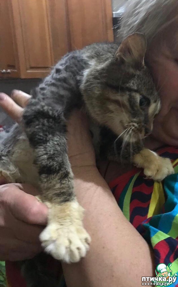 ���� 2: ������� ������� ��� ������ ���!!!