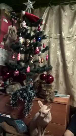 ����: ���������� ������ ������� � "�������"