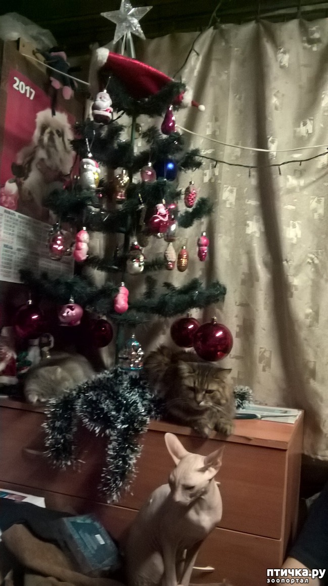 ���� 1: ���������� ������ ������� � 