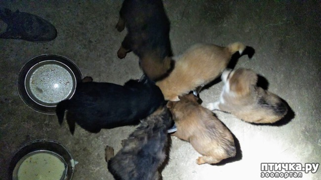 ���� 11: �����������