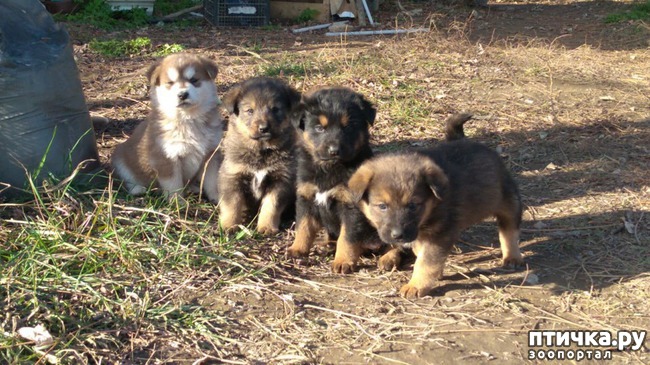 ���� 12: �����������