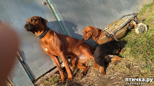 ���� 14: �����������