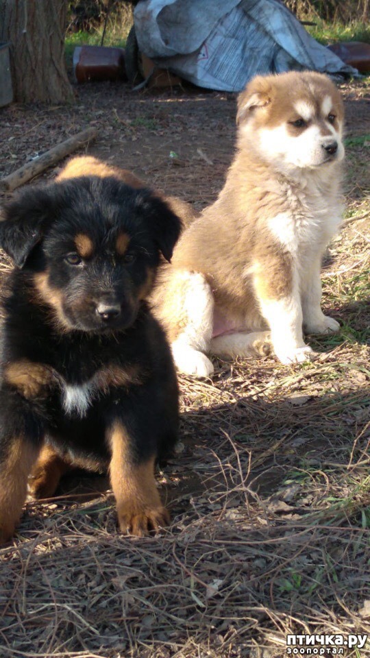 ���� 16: �����������