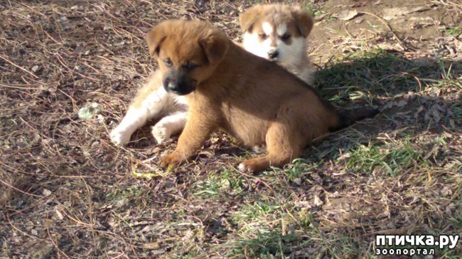 ���� 17: �����������