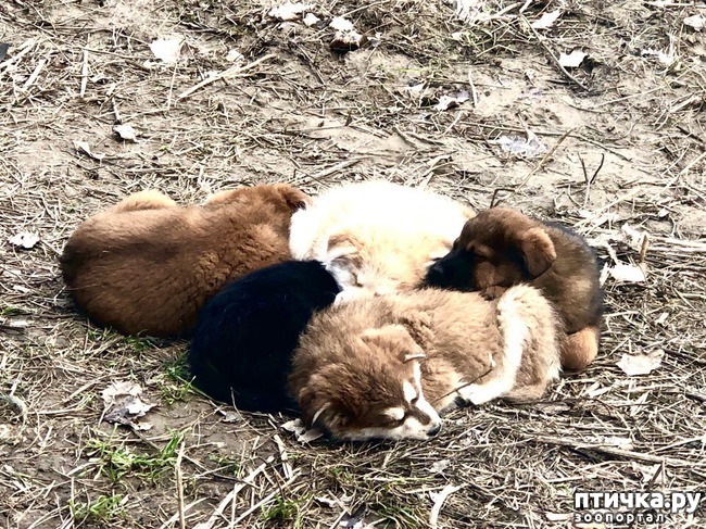 ���� 19: �����������