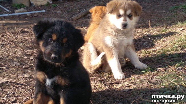 ���� 20: �����������