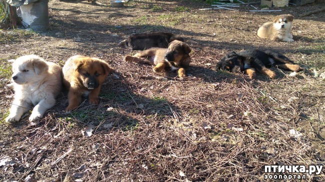 ���� 21: �����������