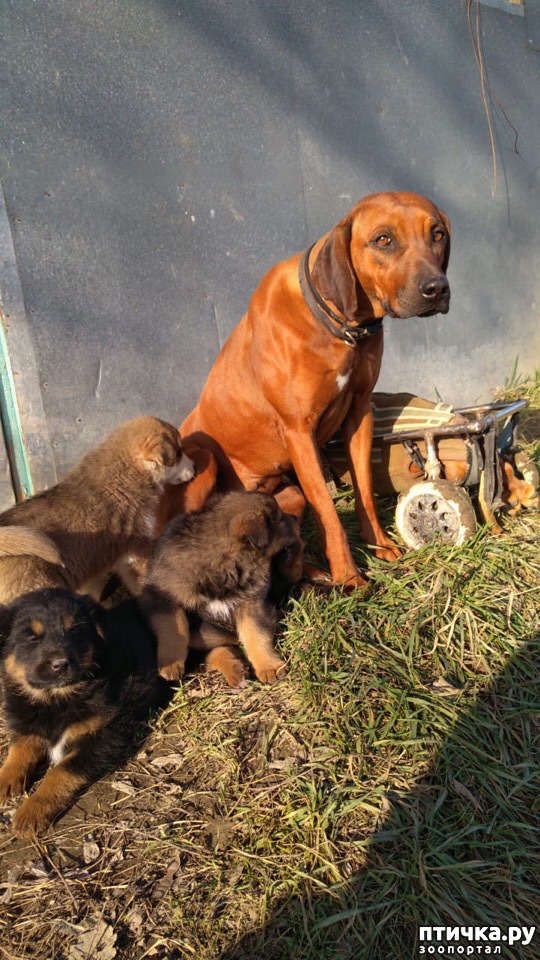 ���� 22: �����������