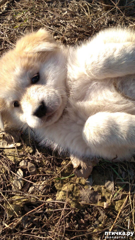 ���� 23: �����������