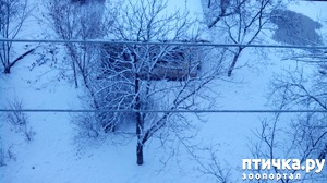 ����: ������ �� �����