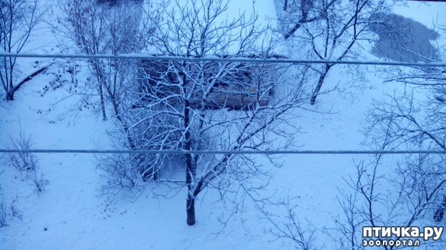 ���� 1: ������ �� �����