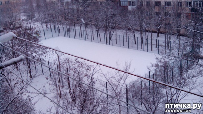 ���� 2: ������ �� �����